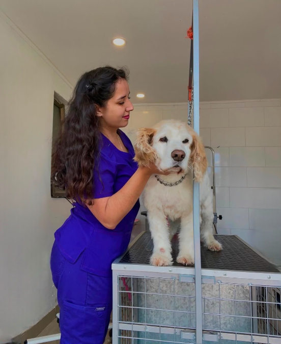 Profesional RomaPet atendiendo con cariño a un perrito